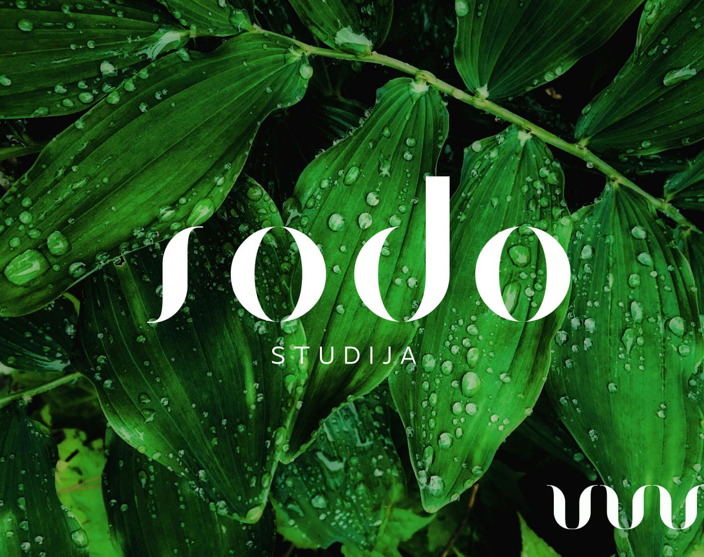 Sodo studija